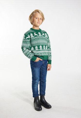 MO Sweater 'Mimo' in Green