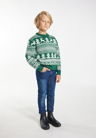 MO Sweater 'Mimo' in Green