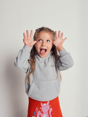 Maru + Bo Sweatshirt 'MELANGE HOODIE WITH FRONT POCKET' i grå