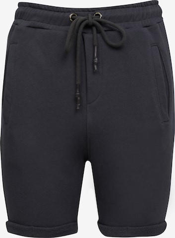 Leif Nelson Pants in Grey: front