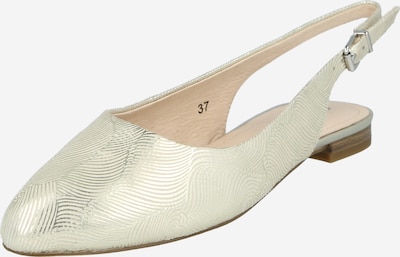 Pumps CAPRICE pe auriu, Vizualizare produs
