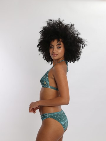 OLYMPIA Triangel Bikinitop in Blau