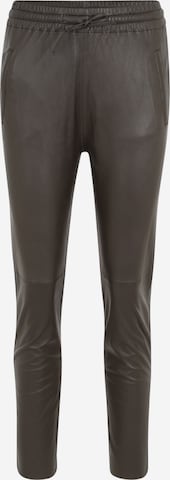 OAKWOOD Spodnie 'Gift' w kolorze brązowy: przód