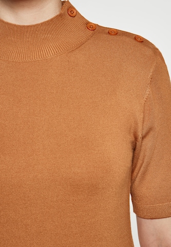 usha BLACK LABEL Sweater in Brown