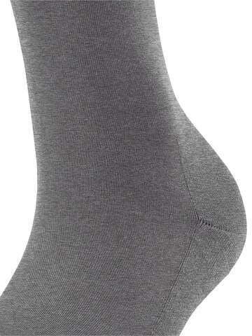 FALKE Knee High Socks 'ClimaWool' in Grey