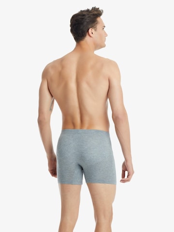 Boxers Blackspade en gris