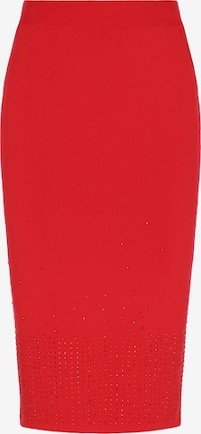 raudona faina Sijonas: priekis