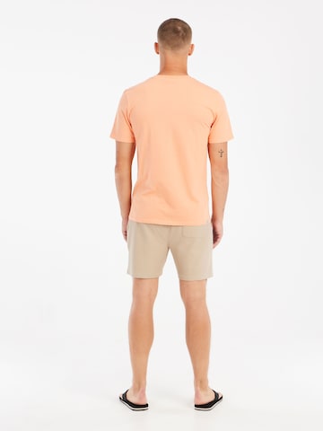 PROTEST Regular Pants 'PRTGraig' in Brown