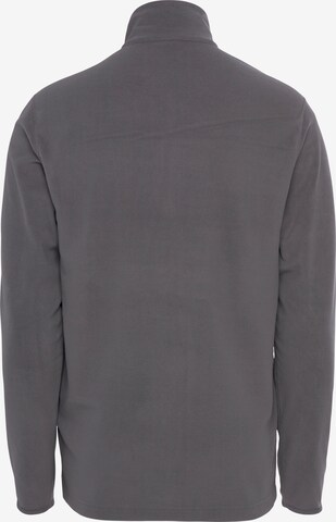 Champion Authentic Athletic Apparel Athletic Sweater in Grey