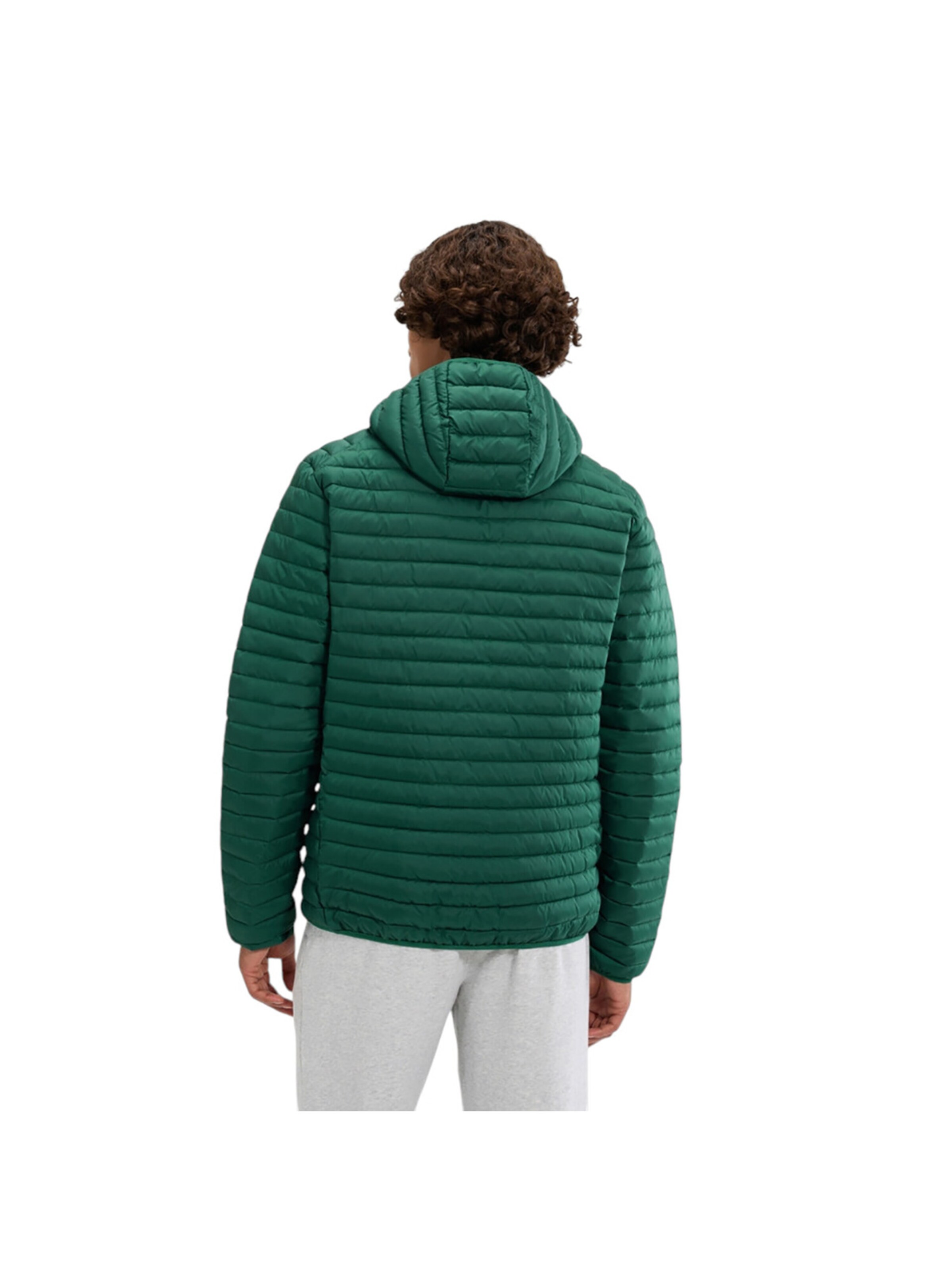 ELLESSE Between-Season Jacket 'Pallochi' in Green