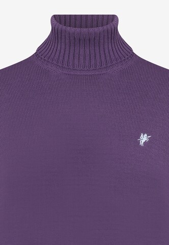 DENIM CULTURE Sweater 'Jason' in Purple