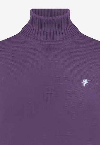 DENIM CULTURE Sweater 'Jason' in Purple