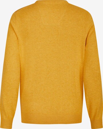 Pull-over HECHTER PARIS en jaune