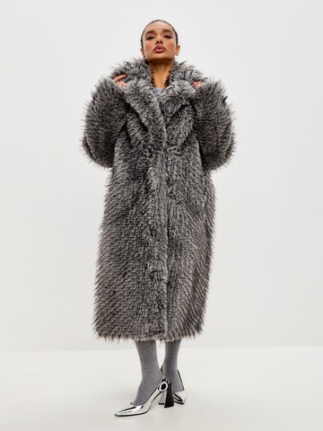 CESARE GASPARI Winter coat in Grey
