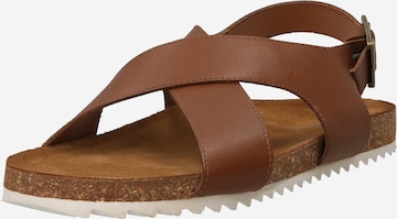 Barbour Sandalen met riem 'Rochelle' in Bruin: voorkant