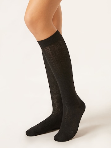 CALZEDONIA Knee High Socks in Black: front