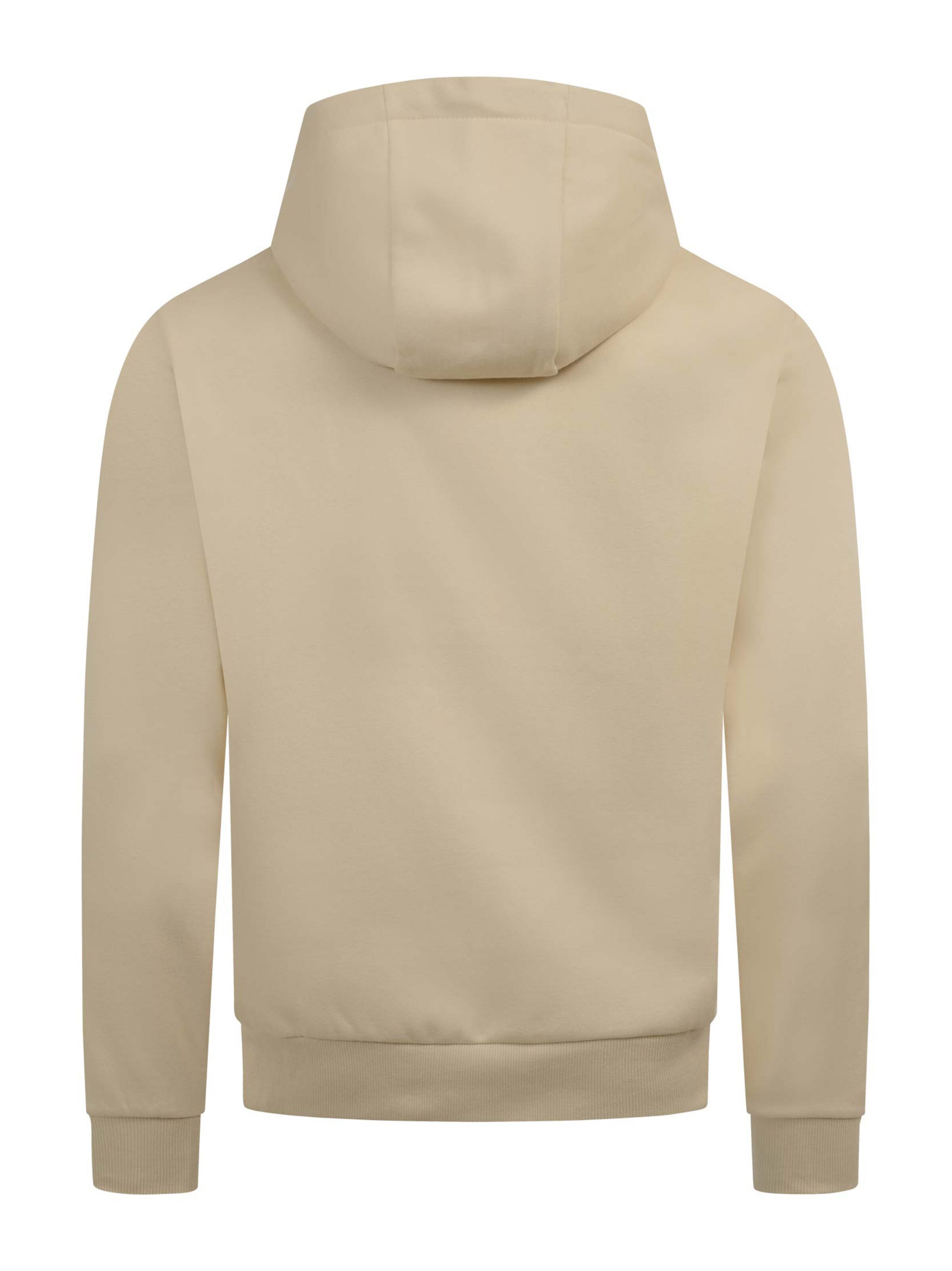 U.S. POLO ASSN. Sweatshirt in Beige