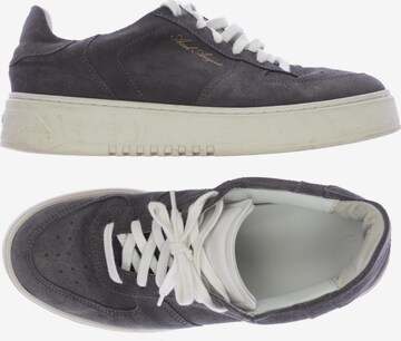 Axel Arigato Sneakers & Trainers in 41 in Grey: front