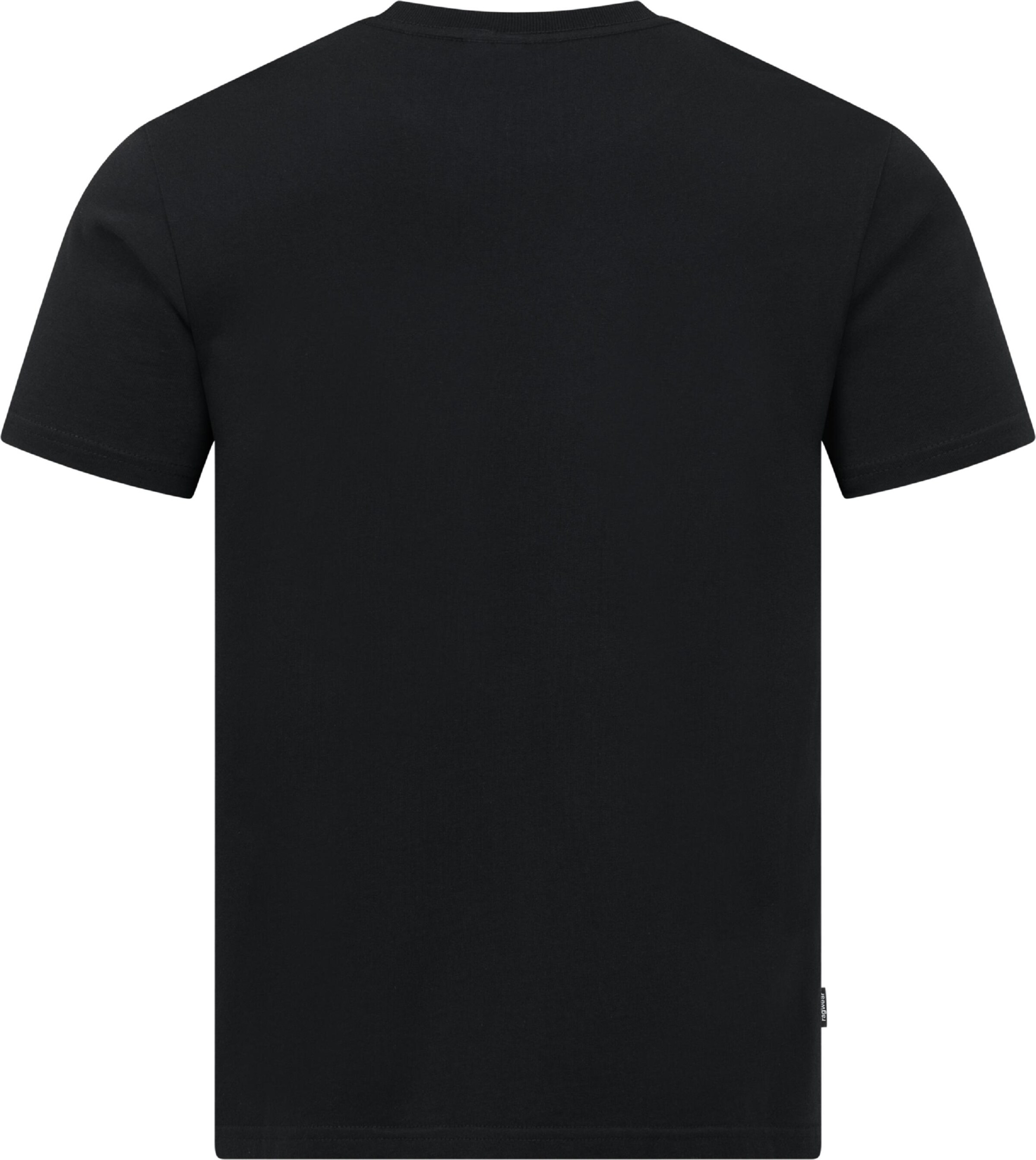 Ragwear T-Shirt in Schwarz
