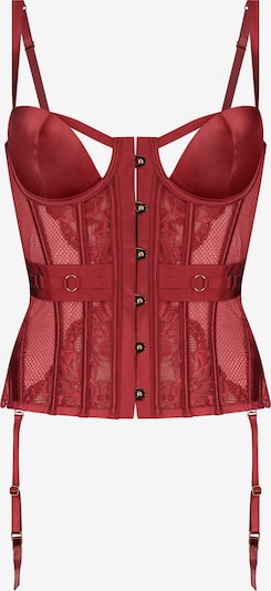 Hunkemöller Corsage 'Pleasure' in Wine red, Item view