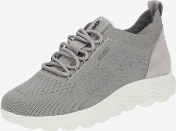 Sneaker bassa 'Spherica' di GEOX in grigio: frontale