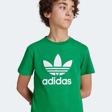 ADIDAS ORIGINALS Shirt 'TREFOIL' in Groen