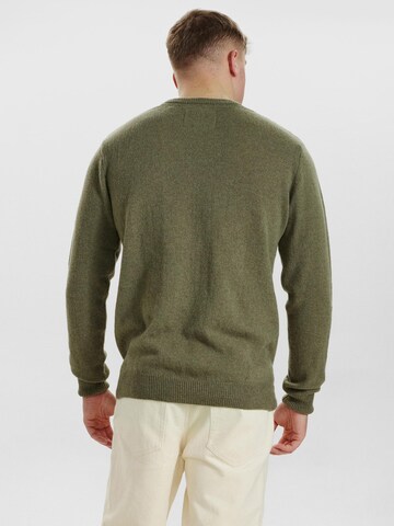 Dxnmxrk Sweater 'DXEdmond' in Green