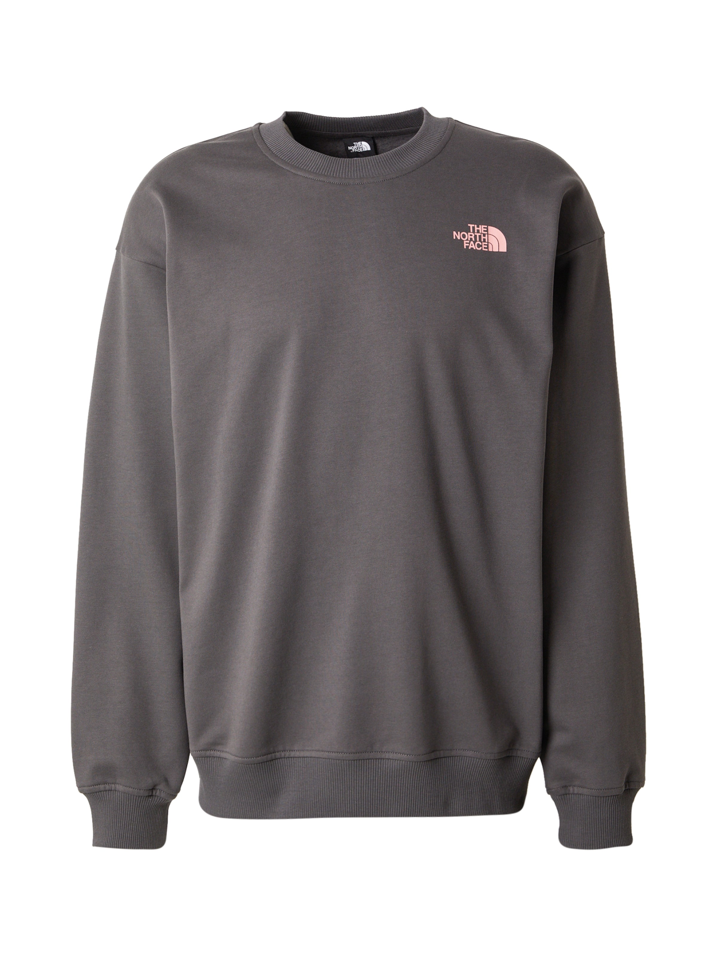 Sweat-shirt &#x27;U Expedition Celebration&#x27; THE NORTH FACE en gris : devant
