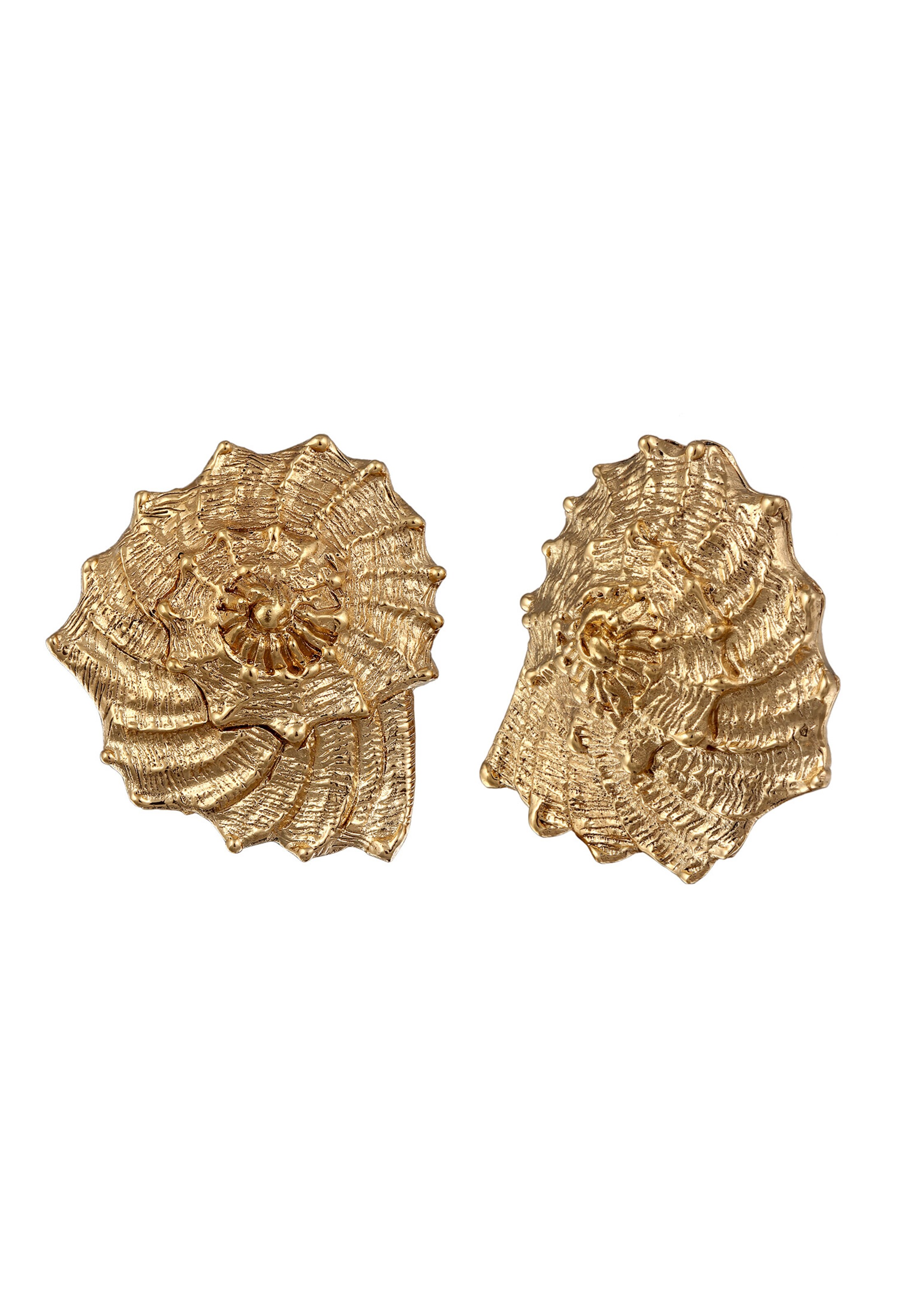 Boucles d'oreilles 'Muschel' Haze&Glory en or : devant