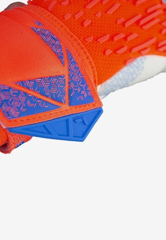 REUSCH Sporthandschoenen 'Attrakt Gold X Freegel' in Oranje