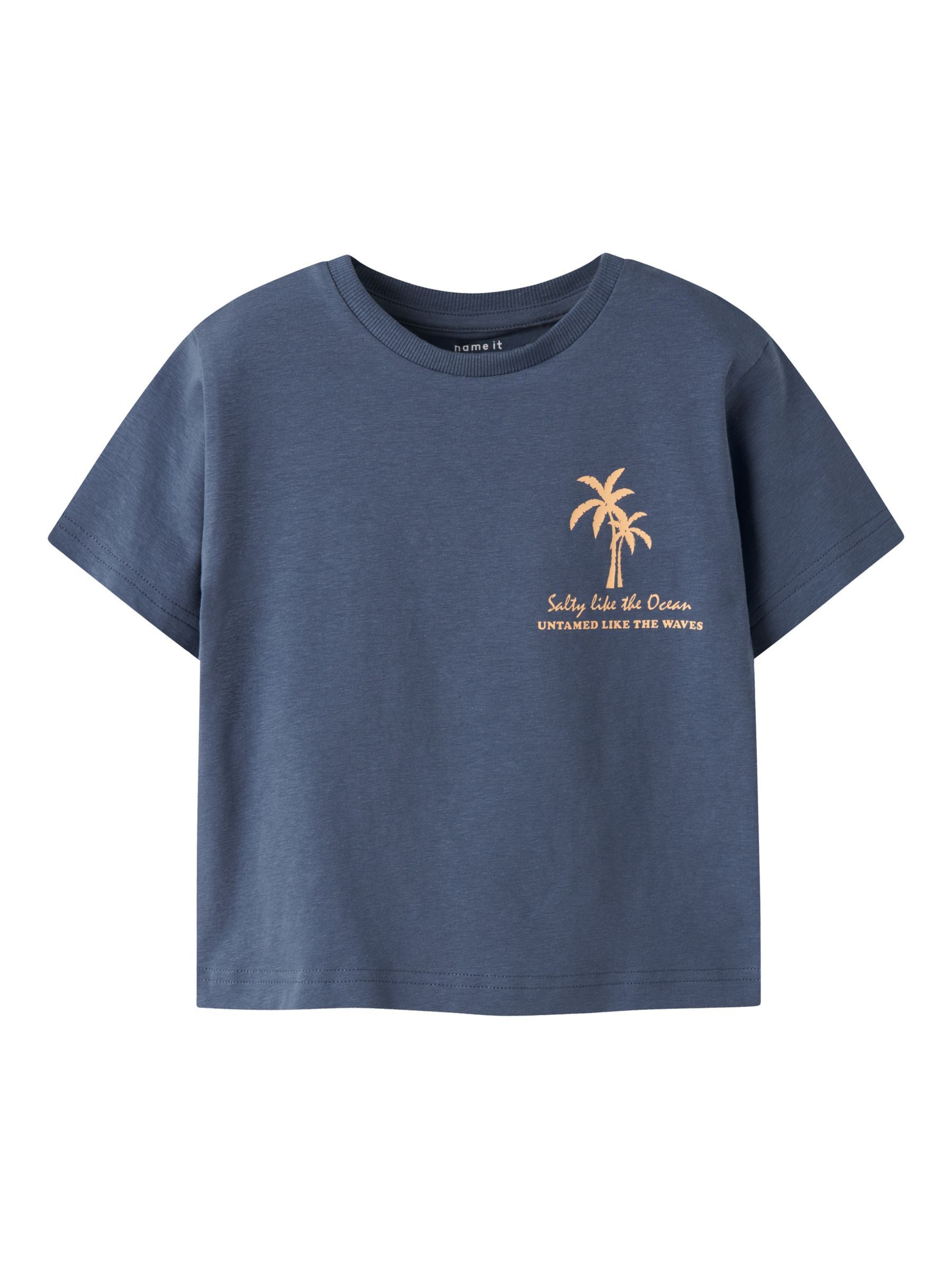 NAME IT Shirt 'NMMFlom' in Blue: front