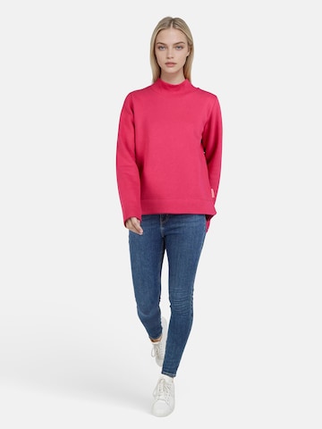 salzhaut Sweatshirt 'Vördem' in Rood