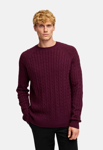 Kronstadt Sweater ' Flynn' in Red: front