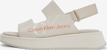 Calvin Klein Jeans Sandale in Grau: predná strana