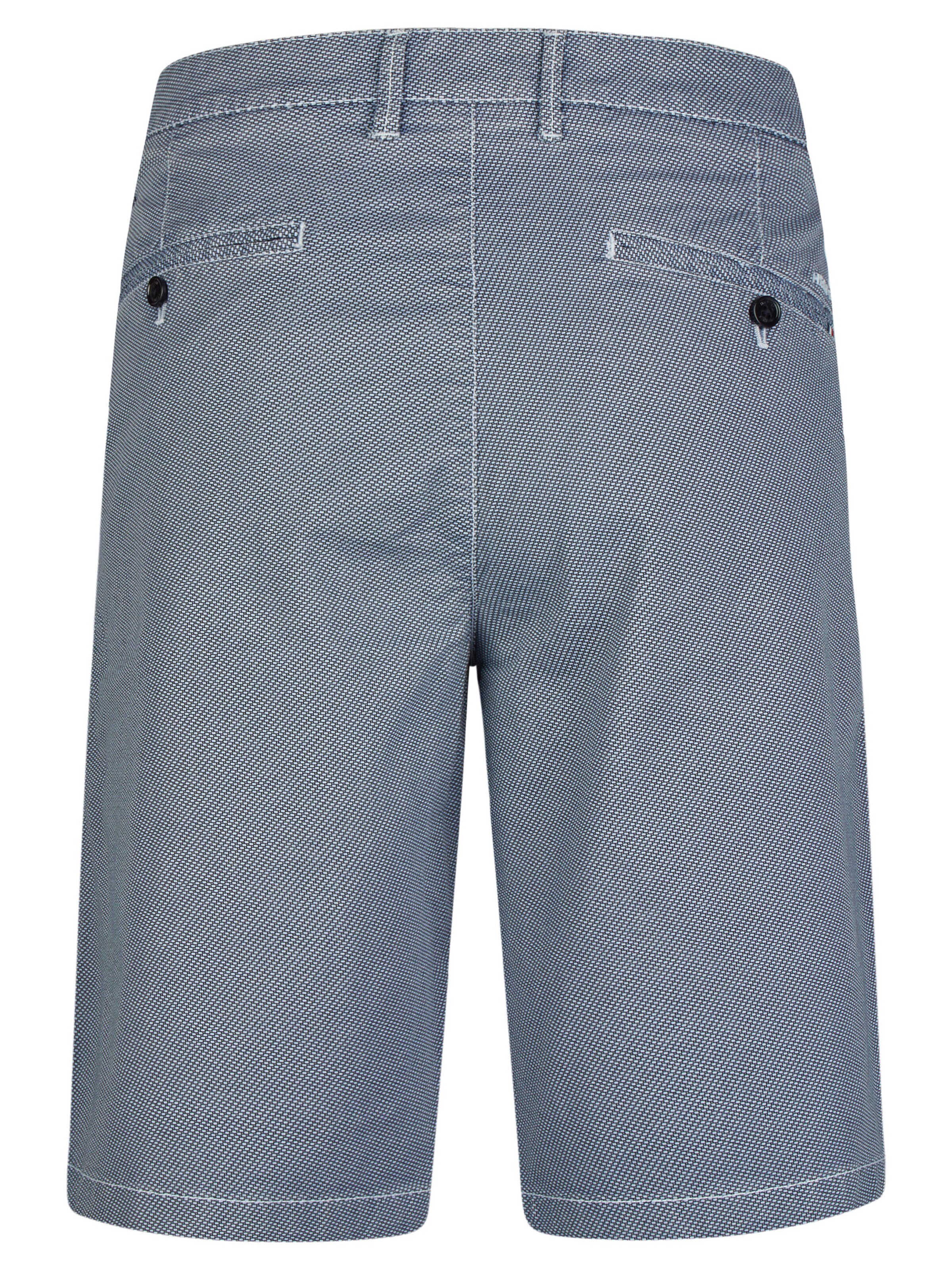 HECHTER PARIS Regular Trousers in Blue