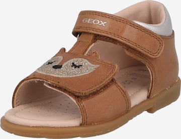 GEOX Sandalen 'VERRED' in Bruin: voorkant