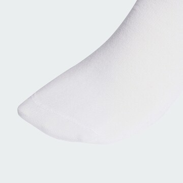 Calzino di ADIDAS ORIGINALS in lilla