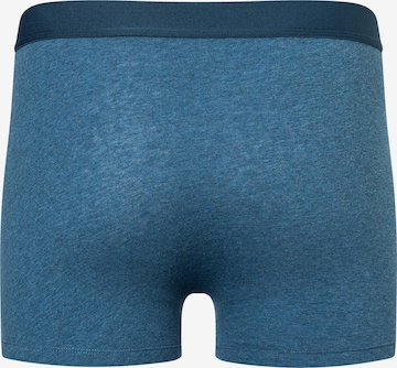 camano Boxershorts in Blau