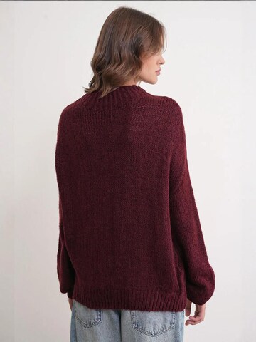 MixRay Sweter 'Pullover' w kolorze czerwony