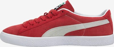PUMA Sneaker in blutrot / weiß, Produktansicht