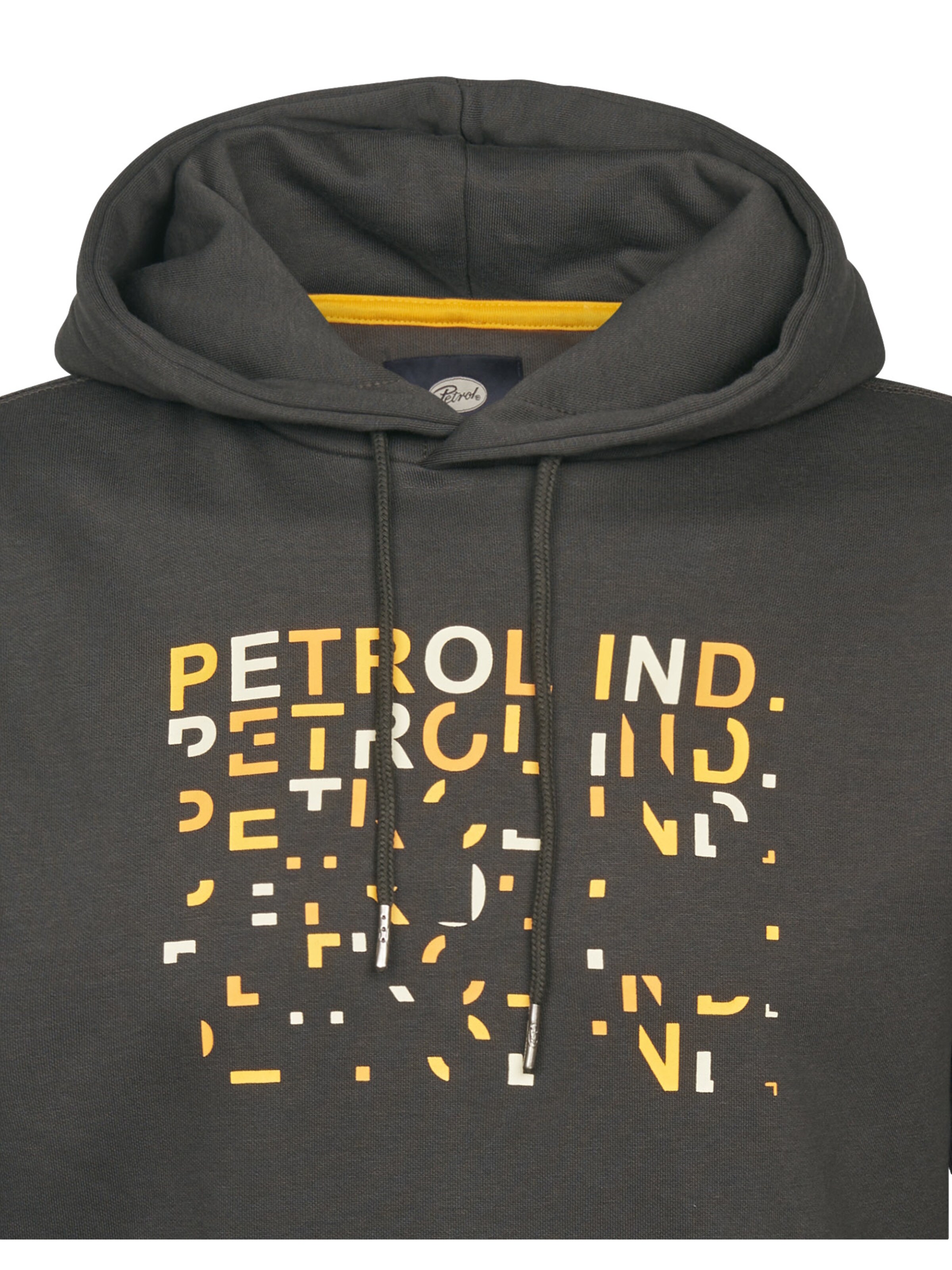 Petrol Industries Sweatshirt in Grijs
