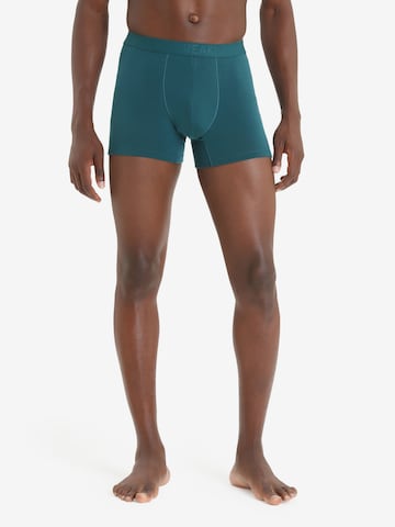 ICEBREAKER Boxershorts in Groen: voorkant