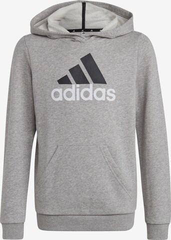 ADIDAS PERFORMANCE Athletic Sweatshirt 'Essentials' in Grey: front