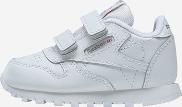 Reebok Sneakers in White: front