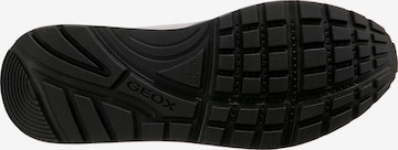 Sneaker bassa 'Vicenda' di GEOX in grigio