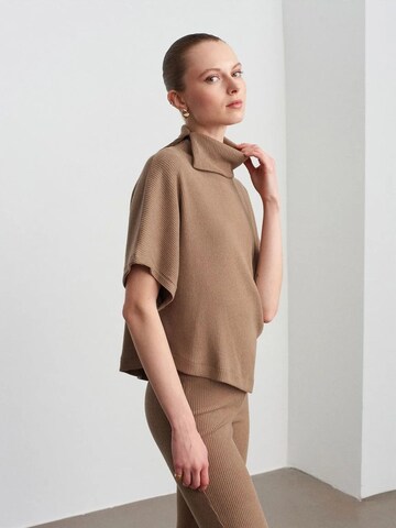 Dilvin Shirt in Brown