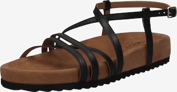 juoda TT. BAGATT Basutės su dirželiais: priekis