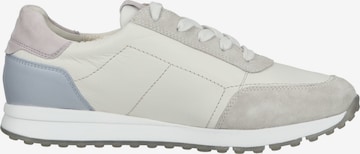 Sneaker bassa di Paul Green in beige