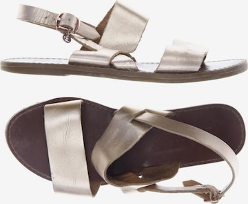 Dune LONDON Sandalen 36 in Beige: predná strana