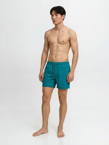 JACK & JONES Плавательные шорты 'JPSTMaui' в Зеленый